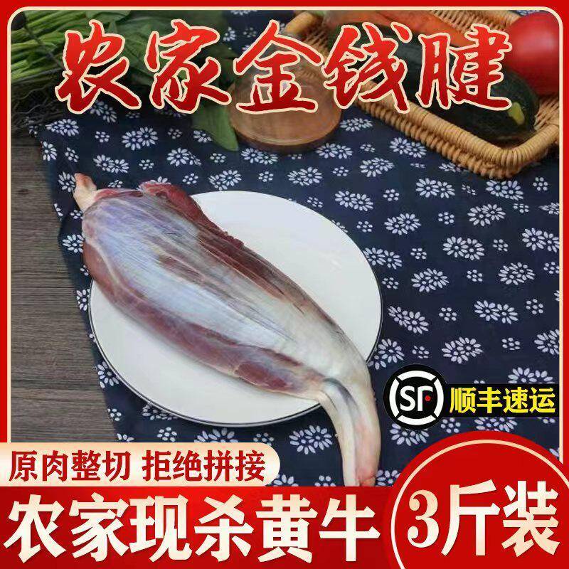 金钱腱3斤装 1500g 腱子芯 现杀新鲜黄牛肉 牛腱子肉梅花腱生牛肉