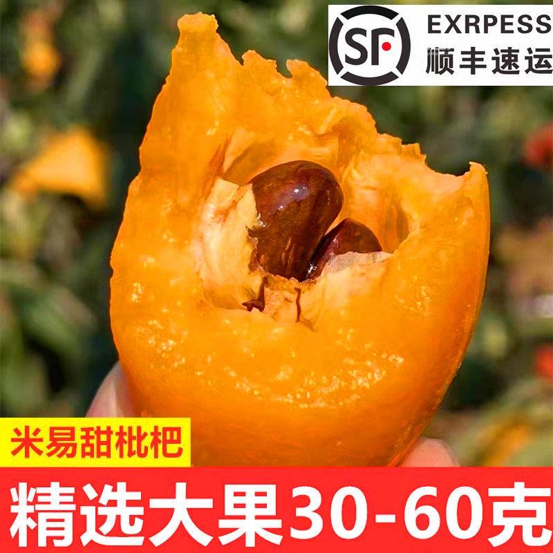 顺丰包邮 正宗四川攀枝花米易枇杷大果5斤新鲜琵琶果当季水果鲜果