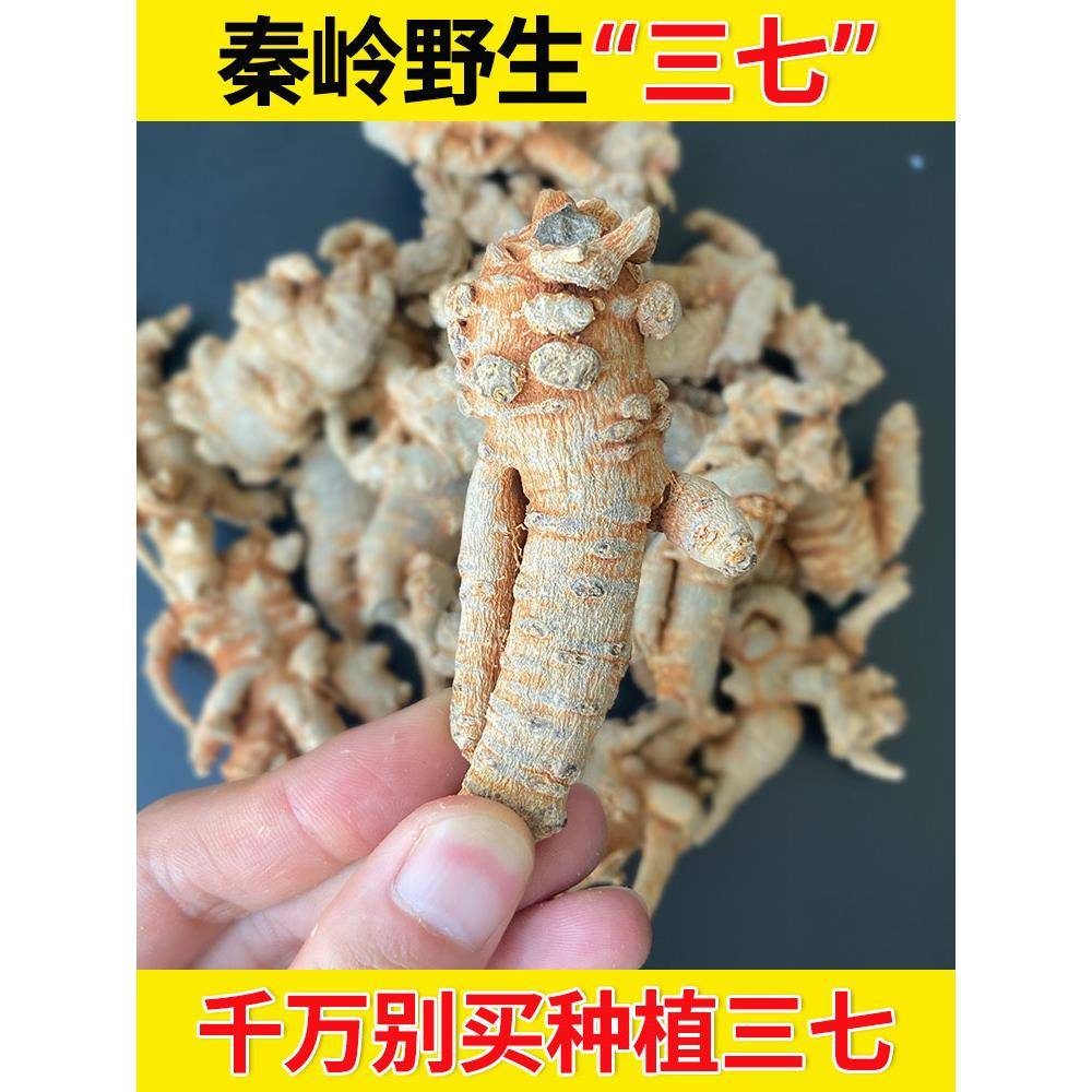 野生三七特级云南文山三七正品官方经营店田七丹参当归散