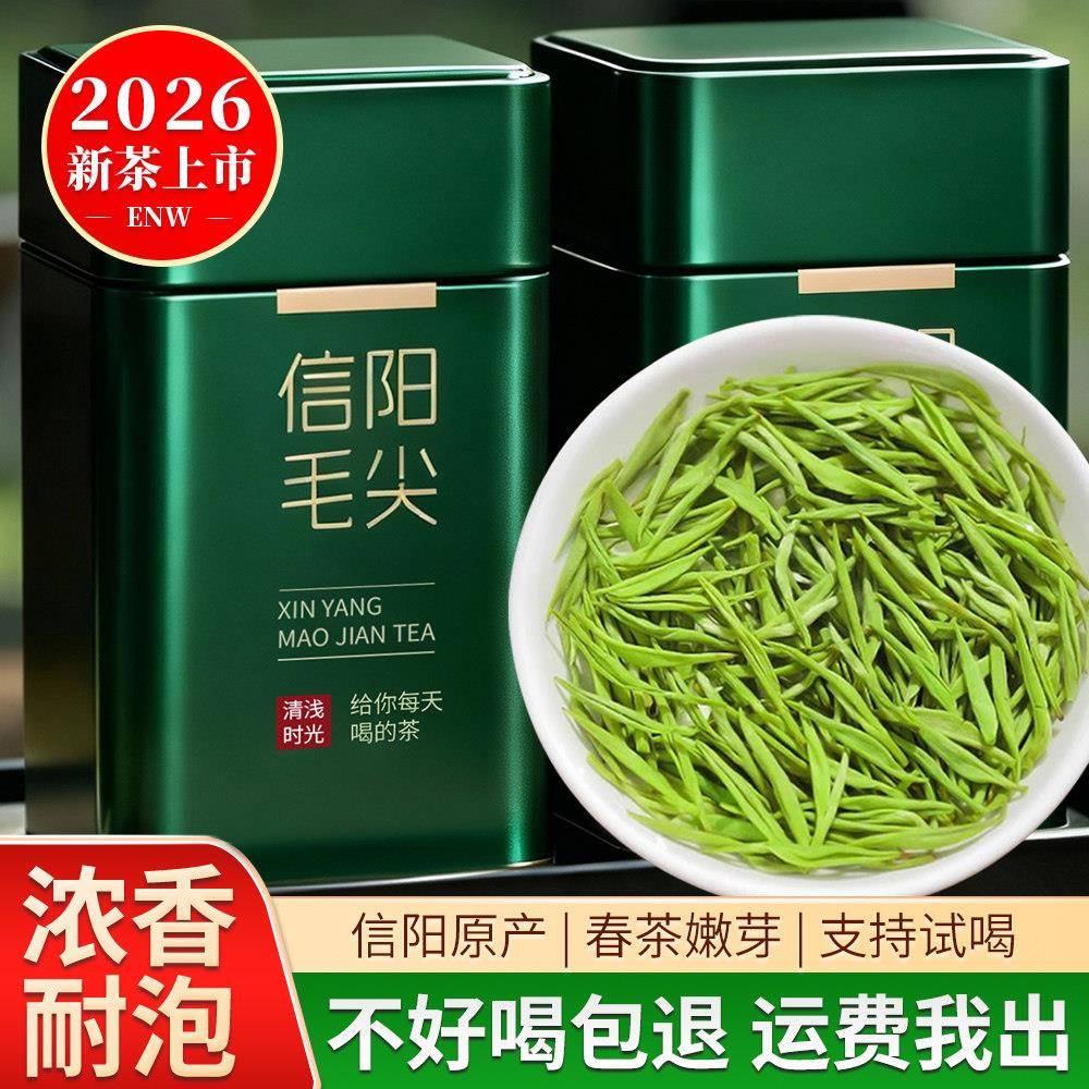 毛尖茶叶信阳毛尖2026新茶特级春茶250g绿茶经营店浓香耐泡自己喝
