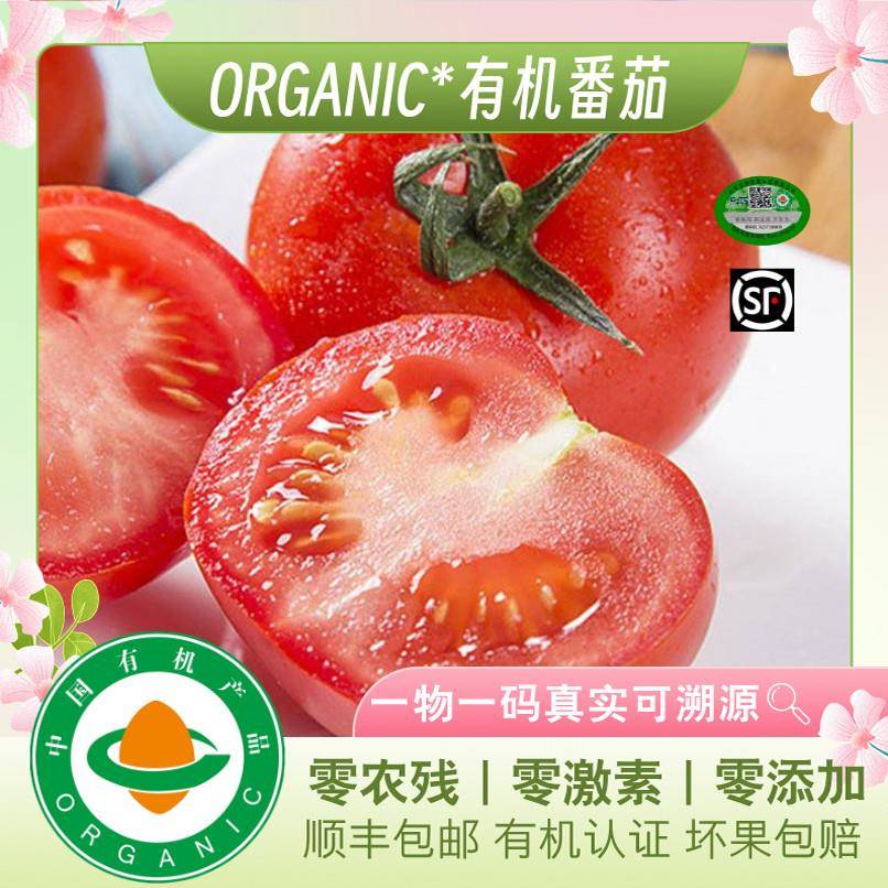 【新鲜有机】有机西红柿顺丰包邮3斤/5斤泡沫箱装有机认证无农残