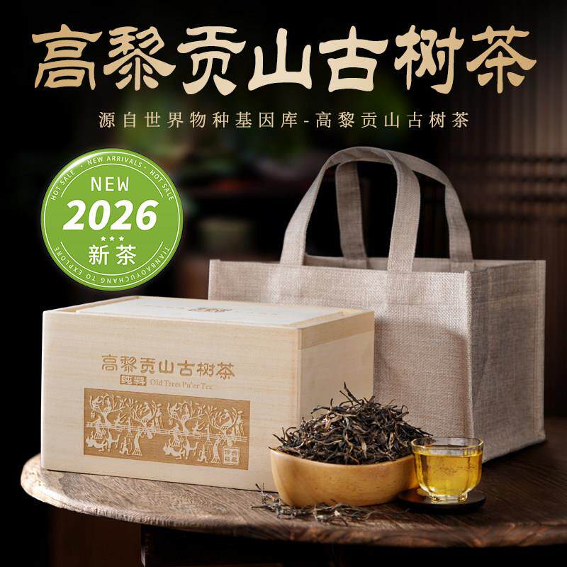 云南高黎贡山古树春茶普洱茶生茶散茶茶叶送礼自己喝高品质500克