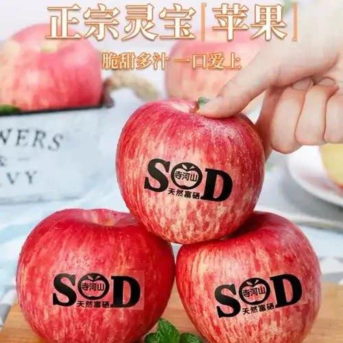 2025灵宝正宗寺河山SOD红富士苹果礼盒装新鲜天然富硒脆甜爽口