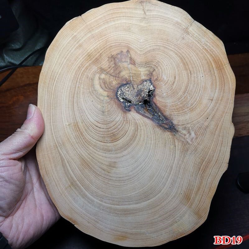 太行崖柏大料杯垫壶垫干泡台茶盘木雕