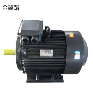 厂家供应YE3系列2极4极6极45W 55W三相异步电动机