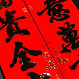 龙年春联中国风春节对联新年双开大门过年年货置办黑字书法4米大