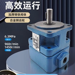 6.3 125 31.5 2.5 无锡泰业叶片泵YB1