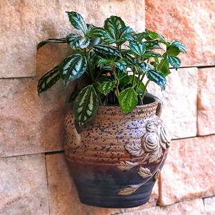 饰花 创意阳台垂吊上装 挂墙壁挂花盆陶瓷绿萝悬挂式 多肉水培欧I式