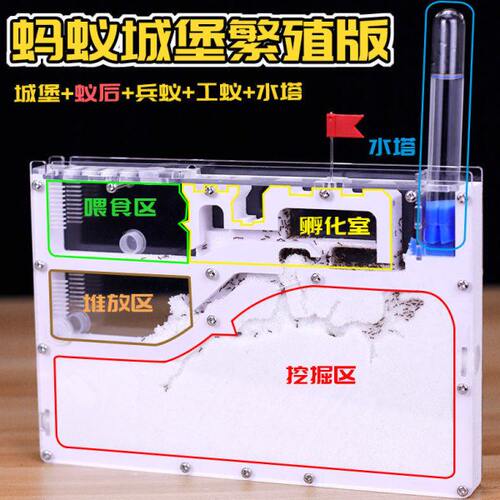 蚂蚁工坊沙土版大头蚁蚂蚁城堡豪华宫殿别墅送蚁后可繁殖可产卵