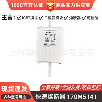 170M5141 170M5142 快速熔断器 保险丝 电子元器件 量大价优