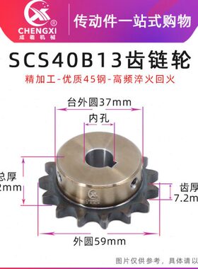 SCS高品质成型孔链轮08A 13齿 40B13T外径59 精车内孔键槽顶丝