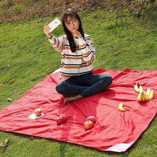 户外地垫垫郊游野炊口袋野餐布便捷轻草坪折叠沙滩垫子