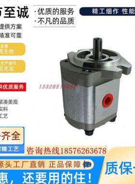 康百世KOMPASS P325RP01BT P323 P328 P370 P308 P390 齿轮泵油泵