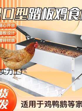 鸡食养鸡用品料防雨喂鸡神器自动喂鸡工具喂鸡喂食器默认项