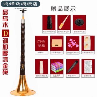 达晖侠唢呐D调d调唢呐初学者唢呐乐器全套喇叭精品D调金碗++包+竖