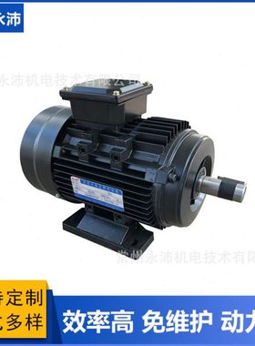 YP100 24V-48V直流水泵电压|48V压清洗机电机|48V直流无刷电机