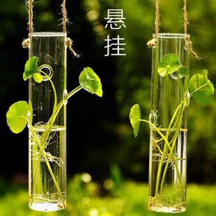 悬挂试管花瓶细长水培植物花瓶透明玻璃铜钱草绿萝壁挂墙迷你花器