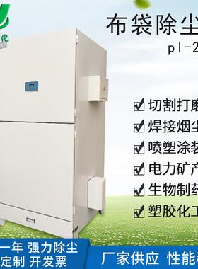 厂家供应PL-2700布袋除尘器单人双吹单机工业除尘器现货生信过滤