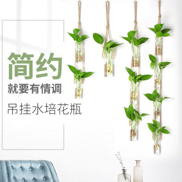 创意悬挂透明花瓶小吊瓶水培花器花盆麻绳挂墙面家居装饰品瓶简约