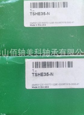 TSHE35-N  GE35-KTT-B INA立式轴承座元 带偏心套轴承 T型密封