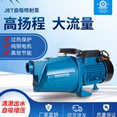 大元 JET型喷射泵 家用高扬程自吸泵自来水增压井水取水洗车增压泵