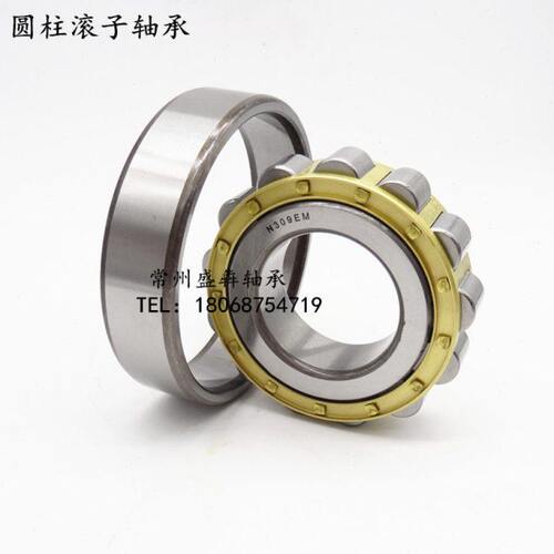 圆柱滚子轴承N1004 1005 1006 1007 1008 1009 1010 1011 1012EM