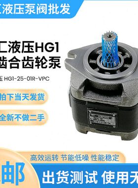 变量泵HG0/1/2-08/10/13/16/20/25/32/40/50-01R-VPC内啮合齿轮泵