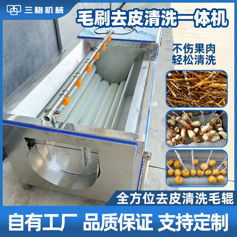 马蹄仔姜生蚝商用毛刷辊清洗去皮机红薯萝卜土豆猪头红枣抛光机器