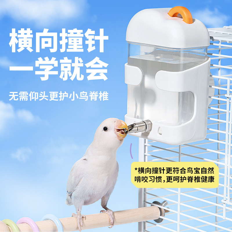 鹦鹉水壶撞针饮水机水壶牡丹虎皮小太阳鸽子好清洁自动喂水大容量