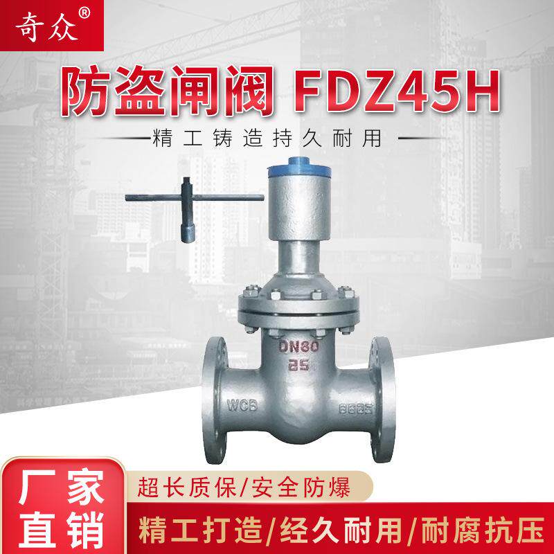 铸钢防盗锁闭闸阀FDZ15H-16C带锁装置加密带钥匙阀门DN100