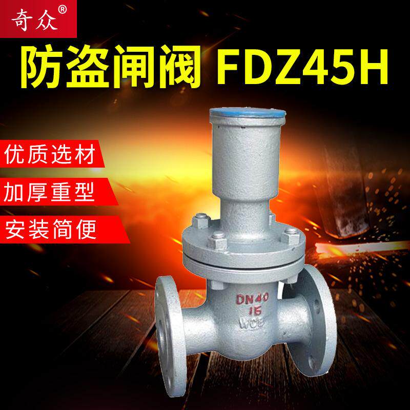 铸钢防盗锁闭闸阀FDZ15H-16C带锁装置加密带钥匙阀门DN100