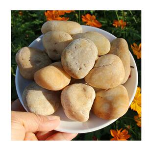 石头甘肃西安黄色鹅卵石地暖石建筑石子园林铺路造景光滑圆润