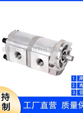 征全直销液压机床高压齿轮泵双联齿轮泵HGP-33A 液压齿轮油泵厂家