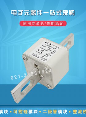 快速熔断器保险丝170M4615 4616 4617 4618 4619 4656 4659 4658