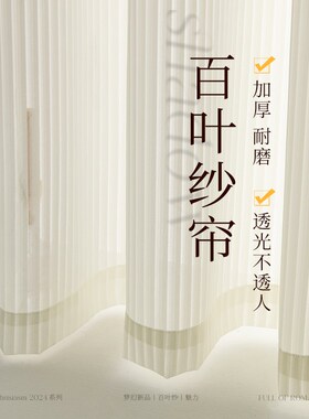 竖百叶窗帘纱f帘透光不透人白色窗纱客厅卧室遮阳防晒镜面纱梦幻