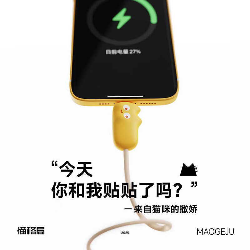 猫格局1米单口数据线240W