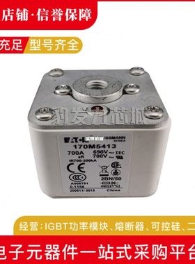 170M5593 170M5594 170M5595 170M5596 170M5597 170M5598熔断器