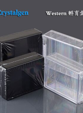 western blot抗体孵育盒灭菌透明黑色单格6格硅化处理CG科晶湿盒