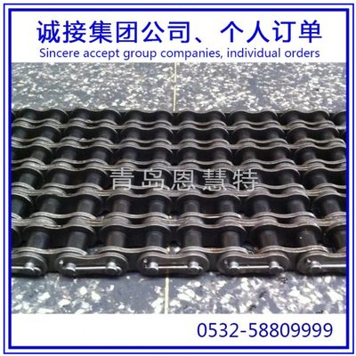 东华输送链条12A-1 08A-2 20A-2直板链条工业流水线链条10