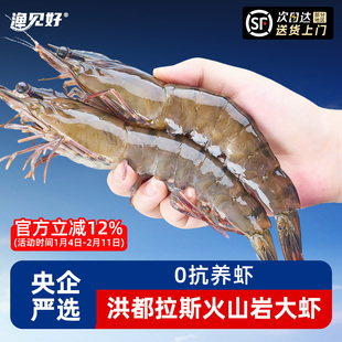 【0抗虾】大虾鲜活冷冻南美白虾洪都拉斯火山岩冷冻海虾鲜活速冻