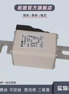 170M4258/4259/4260/4261/4262/4263/4264/4265/4266熔断器保险丝