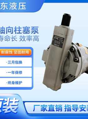 HY10Y25Y40Y63Y80Y107Y160Y180Y200Y225Y250YRP LP液压轴向柱塞泵