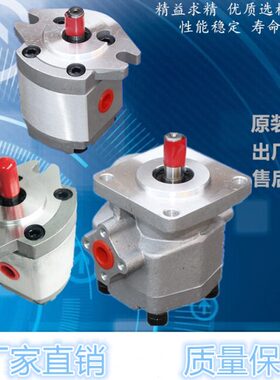 HGP-3A-F17R齿轮油泵 HGP-3A-F8R F17R F19R F23R F25R F28R F30R