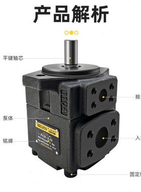 PV2R1-19-FR叶片泵PV2R1-10 12 14 17 23 25 28 31油冷机专用油泵