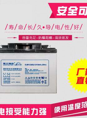 深圳理士DJM1238S免维护铅酸蓄电池直流屏理士蓄电池太阳能直流屏