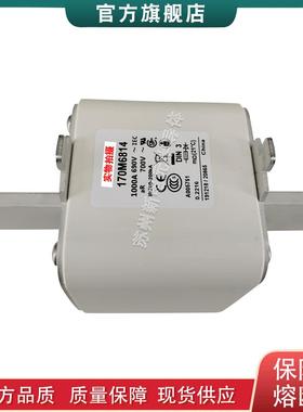 170M6901 6902 6903 6904 6905 巴斯曼bussmann快速熔断器保险丝