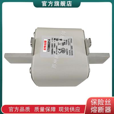 170M6901 6902 6903 6904 6905 巴斯曼bussmann快速熔断器保险丝