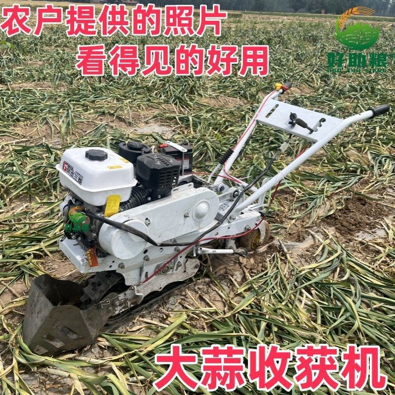 新款两行手推汽油自走式大蒜收A获机挖蒜机家用小型刨蒜不伤蒜神