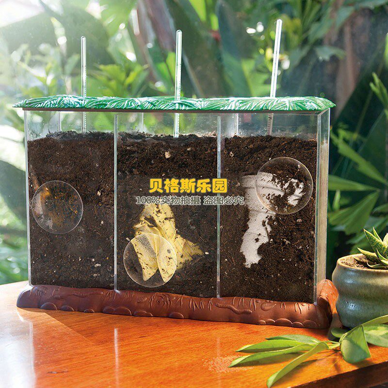 堆肥观察盆幼儿园科学区根茎植物盆观察箱水耕植物培养试管生长瓶