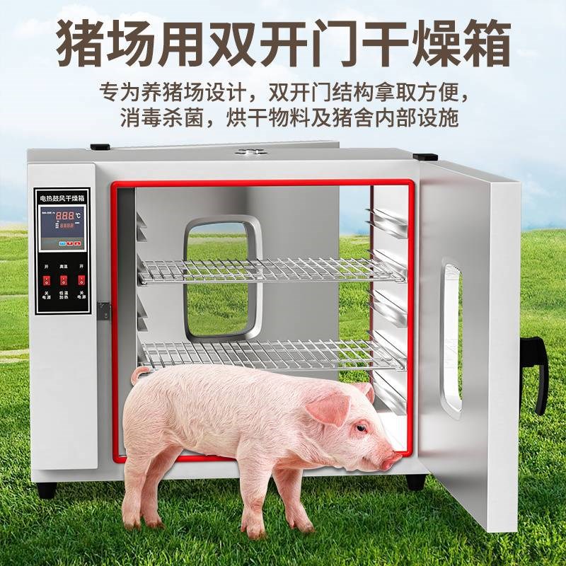 电热鼓风干燥箱前后双开门烘箱实验室药材烘干箱工业500度烤箱